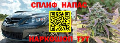 прущие грибы Кинель