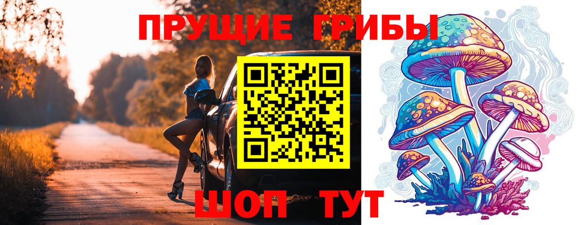 Псилоцибиновые грибы MAGIC MUSHROOMS  Вход с VPN  Курчалой 